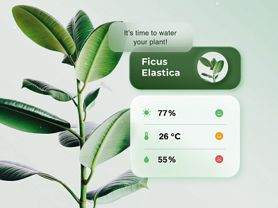 Plant Care App animation app design minimal plant app ui ux