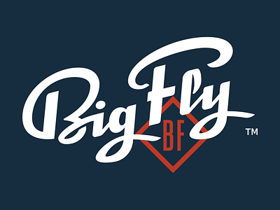 Big Fly Script Logo baseball brand branding homerun logo logo design script script lettering type typogaphy vintage