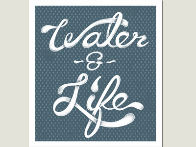 Water & Life Execution 