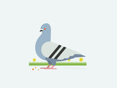 Pigeon animal bird design illustration pigeon