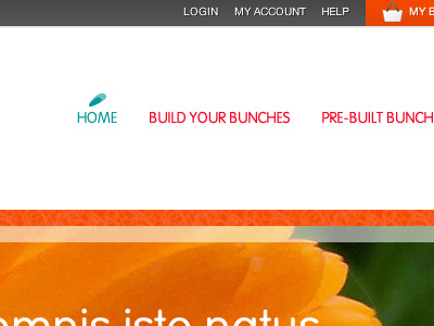 Homepage Shot One build bunch bunches design designer freelance homepage navigation rounded ui vag website