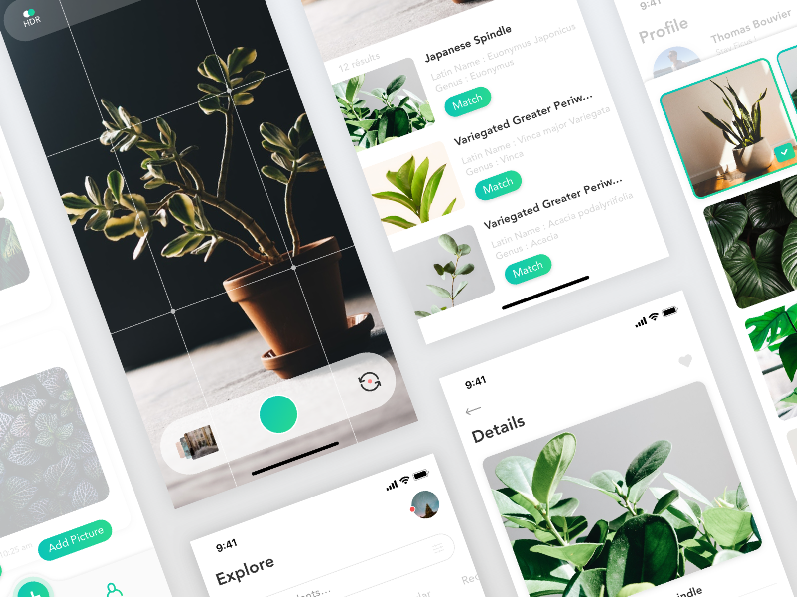 Plants - Plant Recognition App #2 by Thomas Bouvier on Dribbble