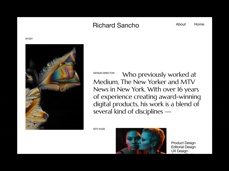 Richard Sancho | About colorful photos contemporary design design fonts minimalism sans serif font serif font typography ui ux web design