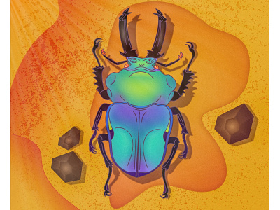 Phalacrognathus Muelleri In Nature affinity art beetle illustration nature