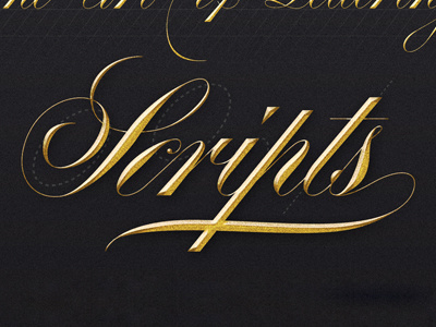 Scripts calligraphy lettering script typography