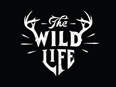 The Wild Life by Neil on Dribbble