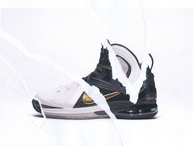 Lebron 9 Collage collage sneaker sneakers