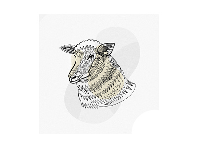 Ingarving sheep graphic ingarving vectorillustration