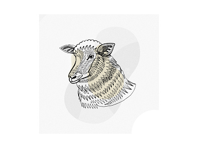 Ingarving sheep