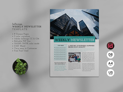 Newsletter Template a4 bulletin business business newsletter corporate indesign indesign template informational journal lifestyle magazine modern