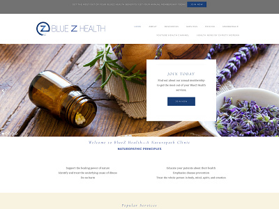 Blue-Z Health Website website design