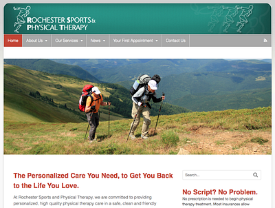 Rochester Sports & Physical Therapy Website website design