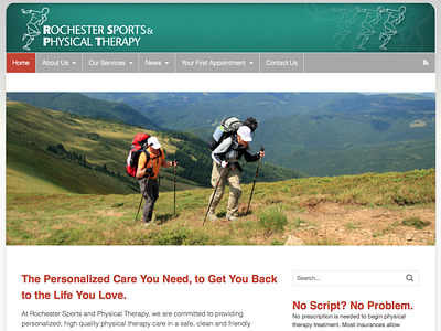 Rochester Sports & Physical Therapy Website