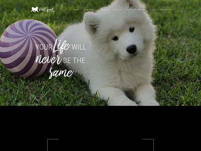 Wild Spirit Samoyeds Website web design website design