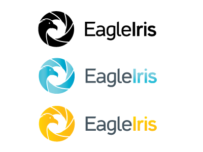 Eagleiris Logo bird eagle eye identity iris lens logo