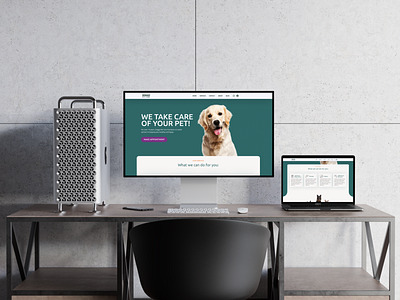 Veterinary websit design figma mockup photoshop ui uiux vet veterinary webdesign