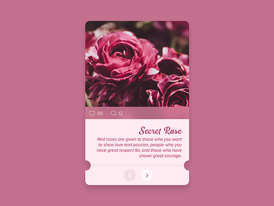 Flower Meaning Application application flower love mobile red rose ticket