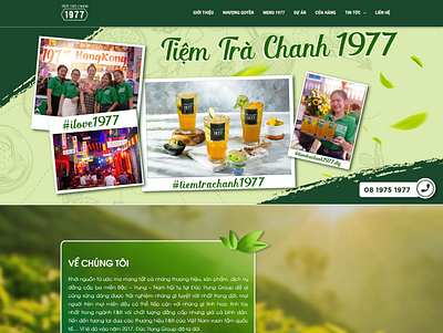 Lemon Tea Drink Franchise Website graphic design ui web design