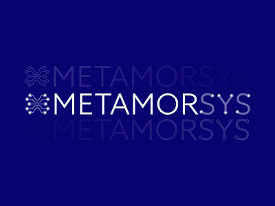MetamorSys Logo 1