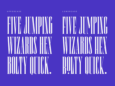 Lorida Font branding design features opentype typeface typogaphy