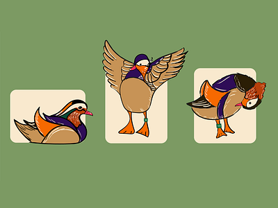 Mandarin duck brushes duck mandarin duck vector vector illustration vectorart