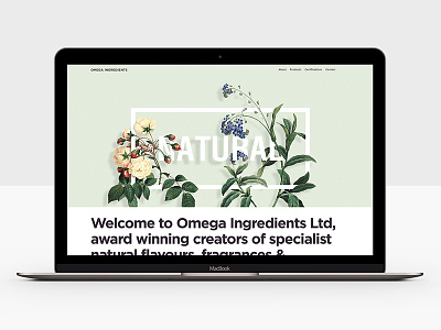 Landing Page, Omega Ingredients illustration ingredients london luxury natural organic responsive ui ux website