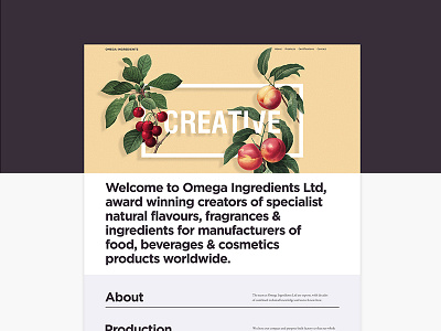 Full Page, Omega Ingredients illustration ingredients london luxury natural organic responsive ui ux website