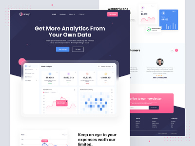 Data Analytics Website