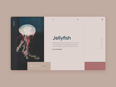 jellyfish jellyfish layout slider uidesign