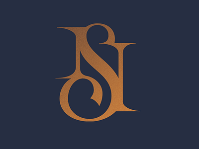 Monogram NS gold lettering logo logotype monogram serif
