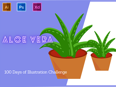 Day-11-Plant Illustration-Aloe Vera