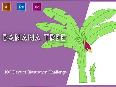 Day-12-Plant Illustration-Banana Tree