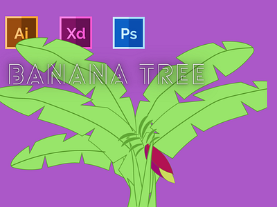 Day-12-Plant Illustration-Banana Tree branding design flat graphic design illustration logo typography ui ux vector