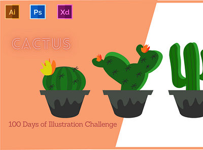 Day-13-Plant Illustration-Cactus branding design flat graphic design illustration logo typography ui ux vector