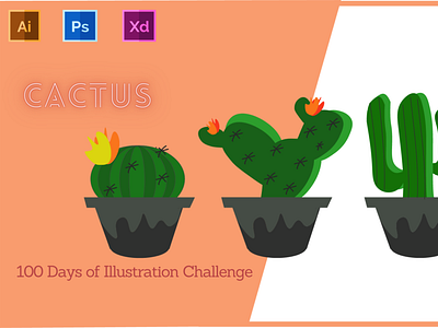 Day-13-Plant Illustration-Cactus