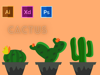 Day-13-Plant Illustration-Cactus branding design flat graphic design illustration logo typography ui ux vector