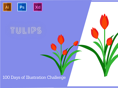 Day-14-Plant Illustration-Tulips branding design flat graphic design illustration logo typography ui ux vector
