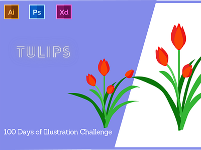 Day-14-Plant Illustration-Tulips