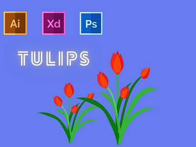 Day-14-Plant Illustration-Tulips branding design flat graphic design illustration logo typography ui ux vector