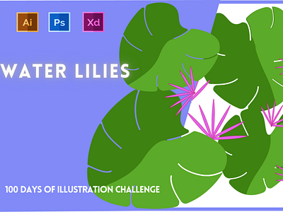 Day-20-Plant Illustration-Water Lilies