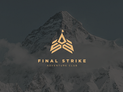 Final Strike Brand Identity and Logo Design brand identity branding lettermark logo logo design