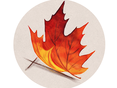 Turned Leaf logo art autumn branding design freelance illustration logo mapleleaf plants texture