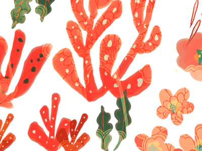 Red Succulents cacti coral floral pattern red succulents