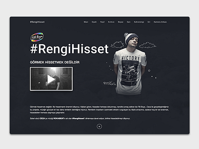 Filli Boya #Rengihisset brand desktop filliboya flat landing one page ui ux web website