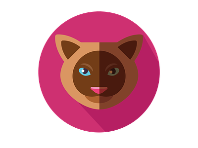Cat Icon 2021 logo app icon best logo cat icon design icon illustration illustrator new design vector