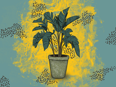 plant digital art illustration procreate