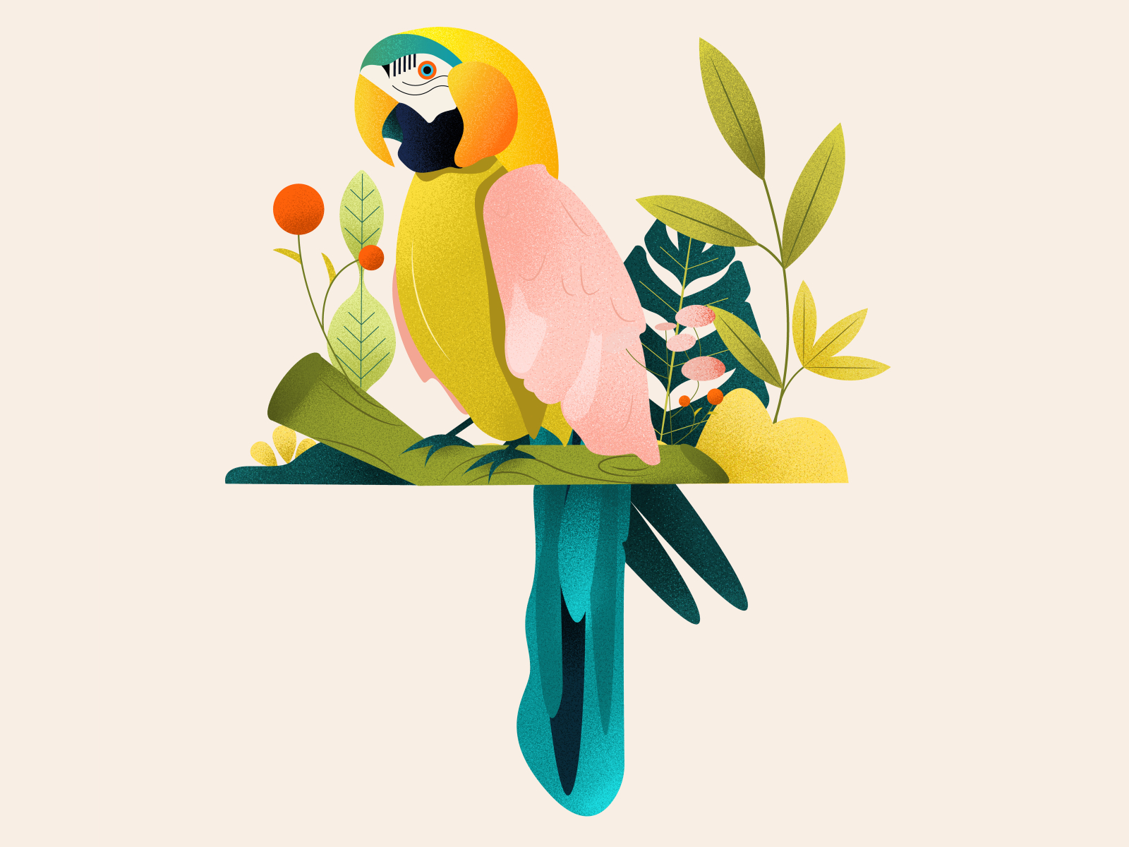 Jungle of Parrots by Palette Box-Bianca Jelezniac on Dribbble