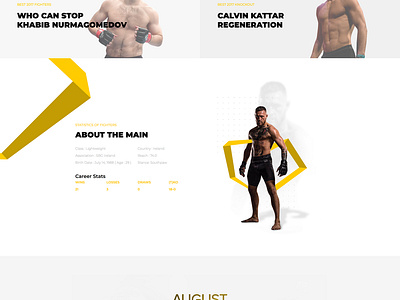 UFConcept by Bohdan Fishbein on Dribbble