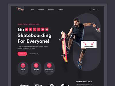 Skateboard - Landing Page Exploration