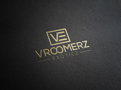 VE Letter Logo letter logo ve logo